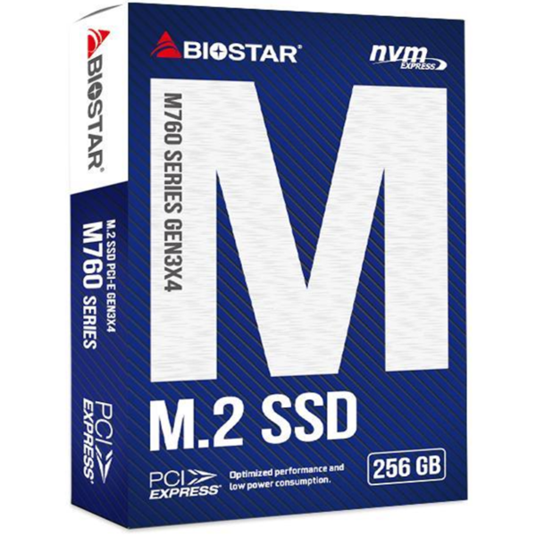 BIOSTAR / SSD/ M760-256GB (მყარი დისკი)